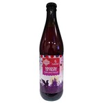 Raduga x Browar Gryfus: Kingdom of Fruits - butelka 500 ml