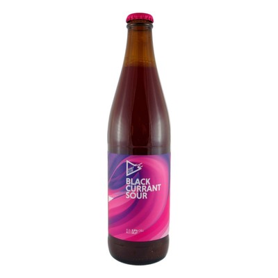 Funky Fluid: Black Currant Sour Ale - butelka 500 ml