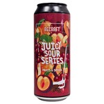 ReCraft: Juicy Sour Fruits & Spices - puszka 500 ml